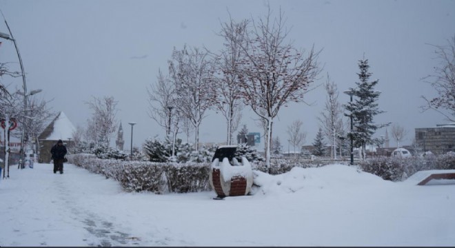 Erzurum da kar yağışı etkili oluyor
