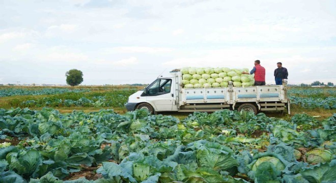 Tarım-ÜFE yıllık yüzde 45,40 arttı